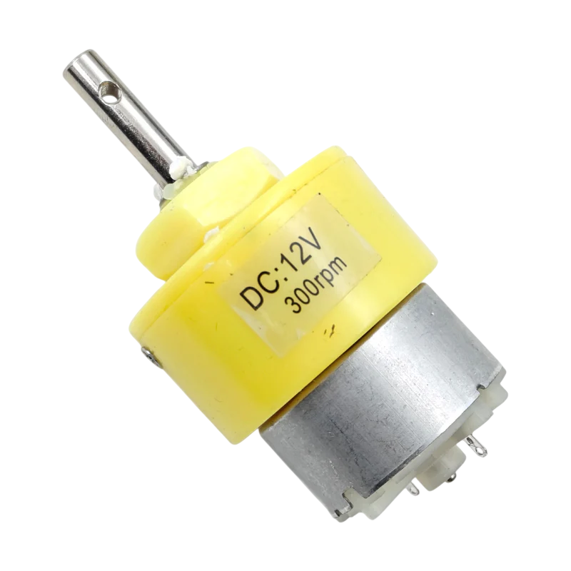 12V 300RPM Geared DC Motor